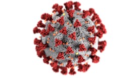 “Coronavirus experience worse than the war”